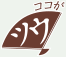 ココがツウ