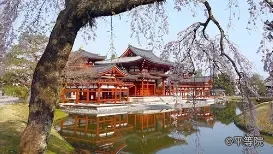 京都 桜コース（宇治）