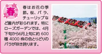 春 春はお花の季節。桜、バラ、チューリップなど園内が彩られます。