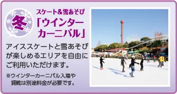 冬 スケート&雪あそび 「ウインターカーニバル」