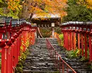 鞍馬・貴船・大原のイメージ画像