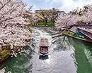 宇治・伏見のイメージ画像