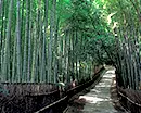 嵐山・西陣のイメージ画像